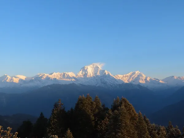 Ghorepani Poon Hill Trek in Spring