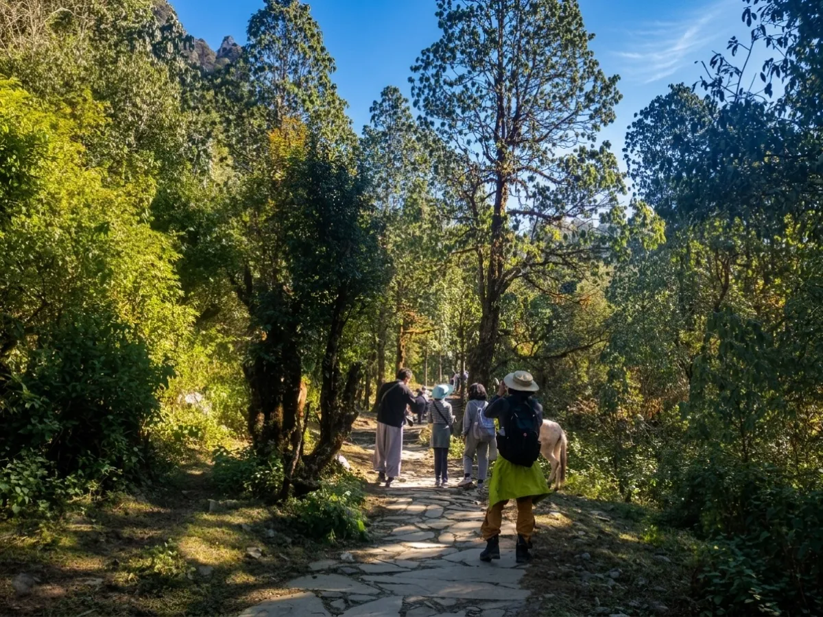 Australian Camp Trek