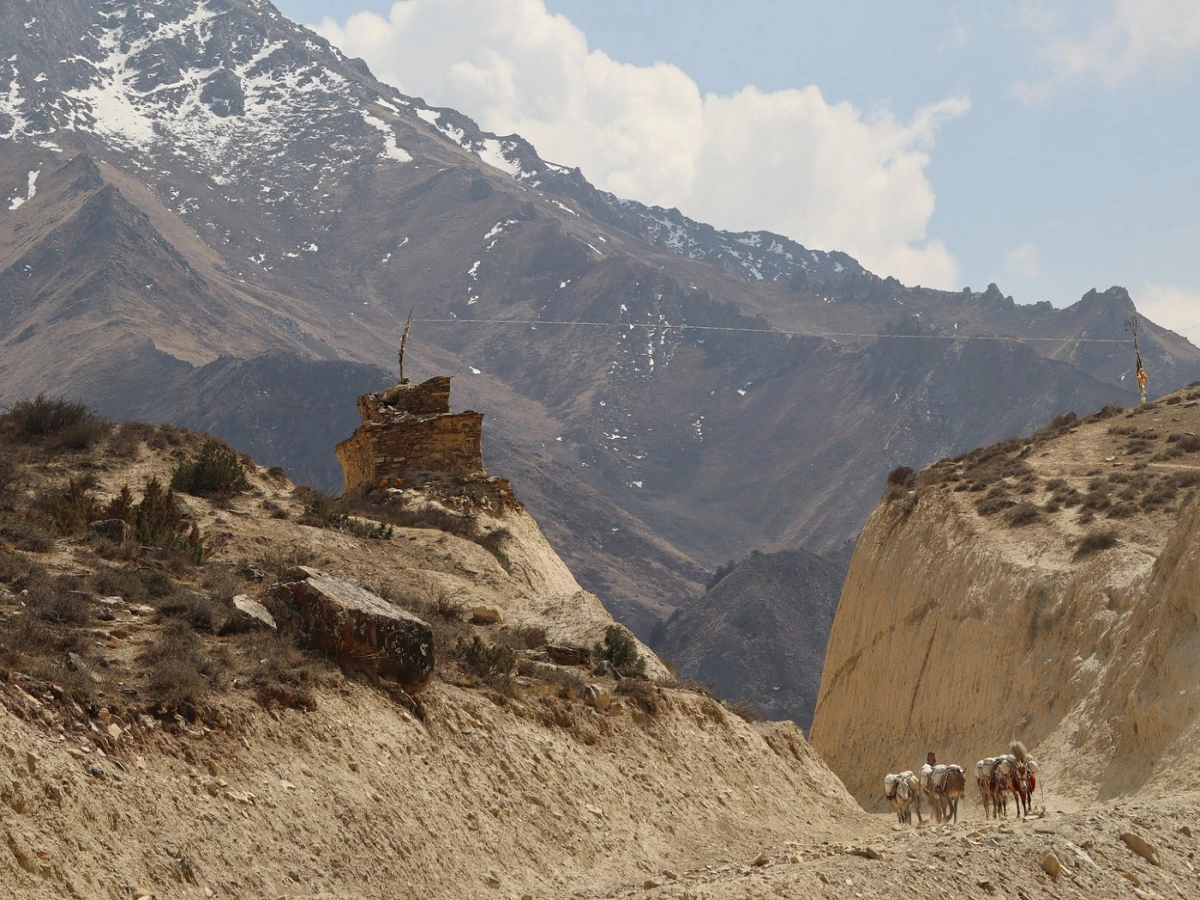 lower dolpo trek