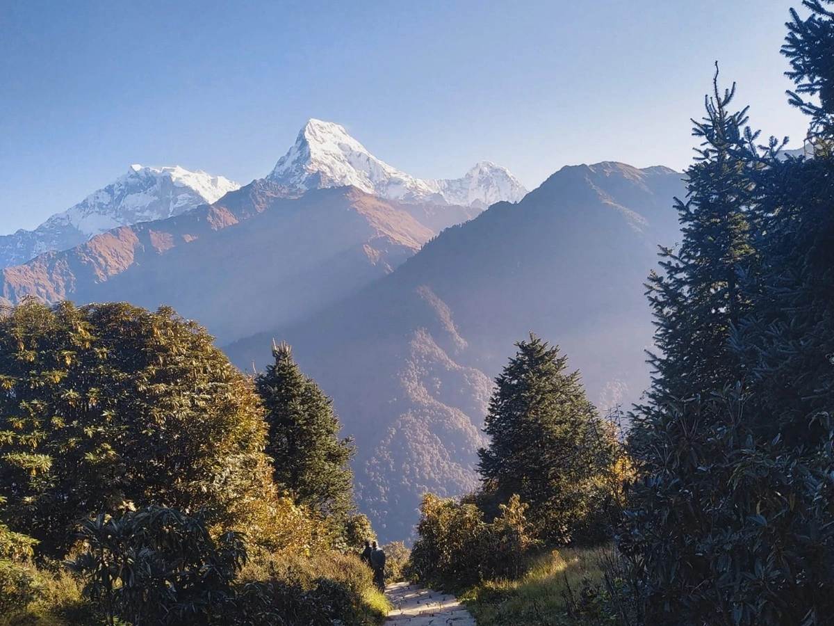 Ghorepani Poonhill Trek