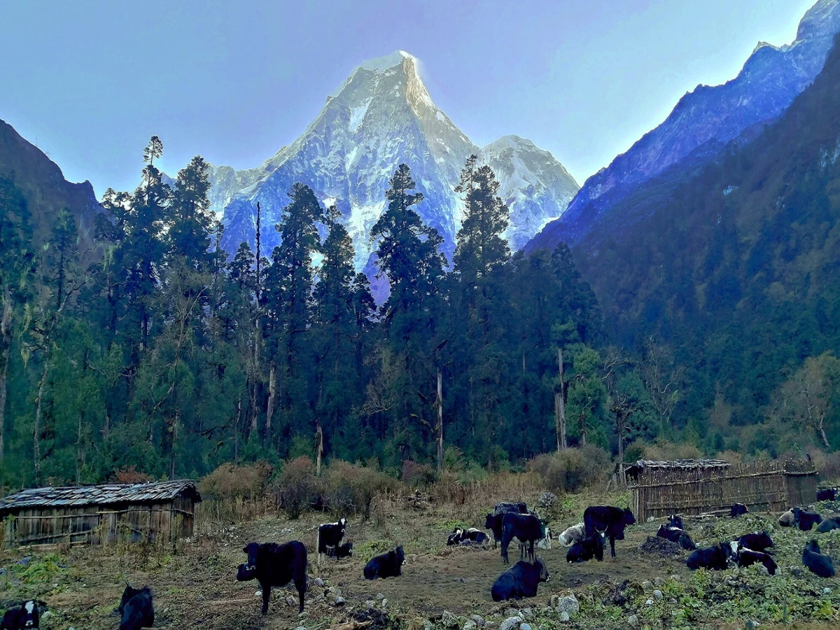 Jugal Himal Trek