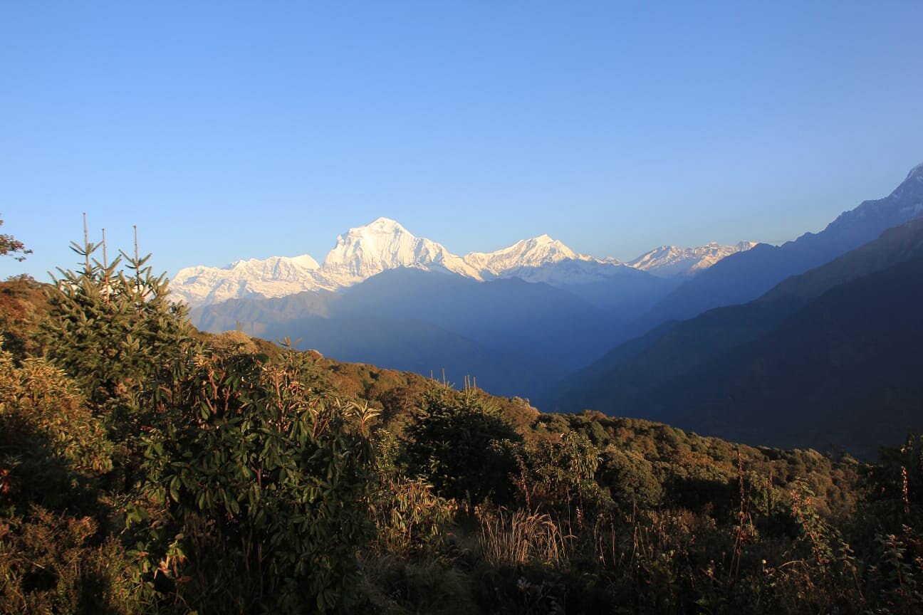 A Complete Guide for Ghorepani Poon Hill Trek