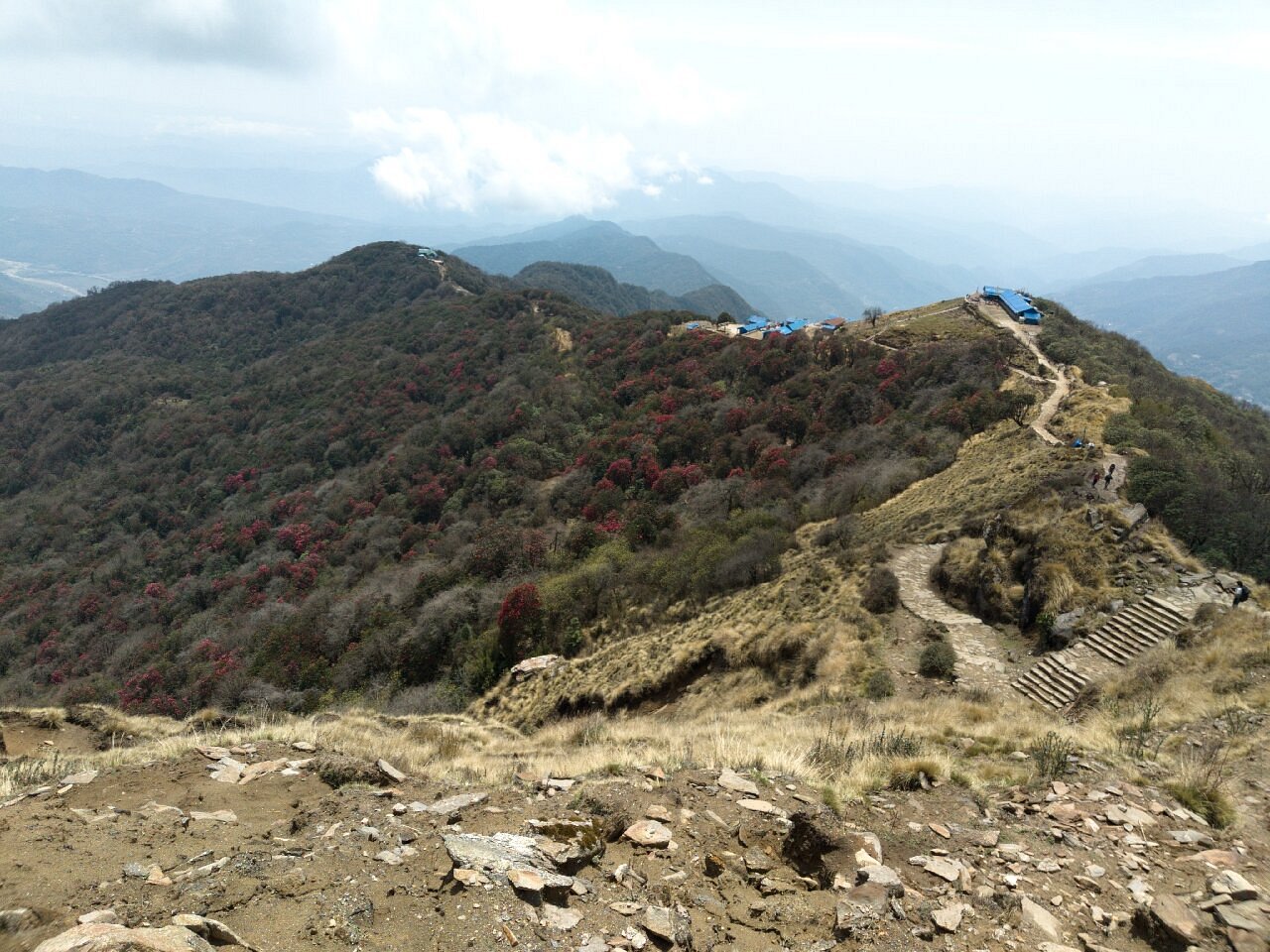 A Complete Guide for Mardi Himal Trek