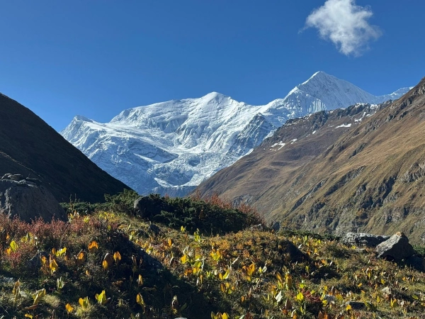 Annapurna Circuit Trk