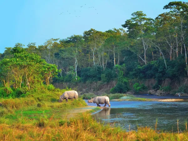 Chitwan National Park 3