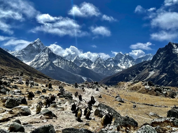 Everest View Trek