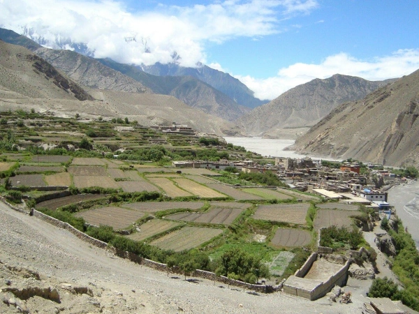 Mustang Is One Of Amagazing