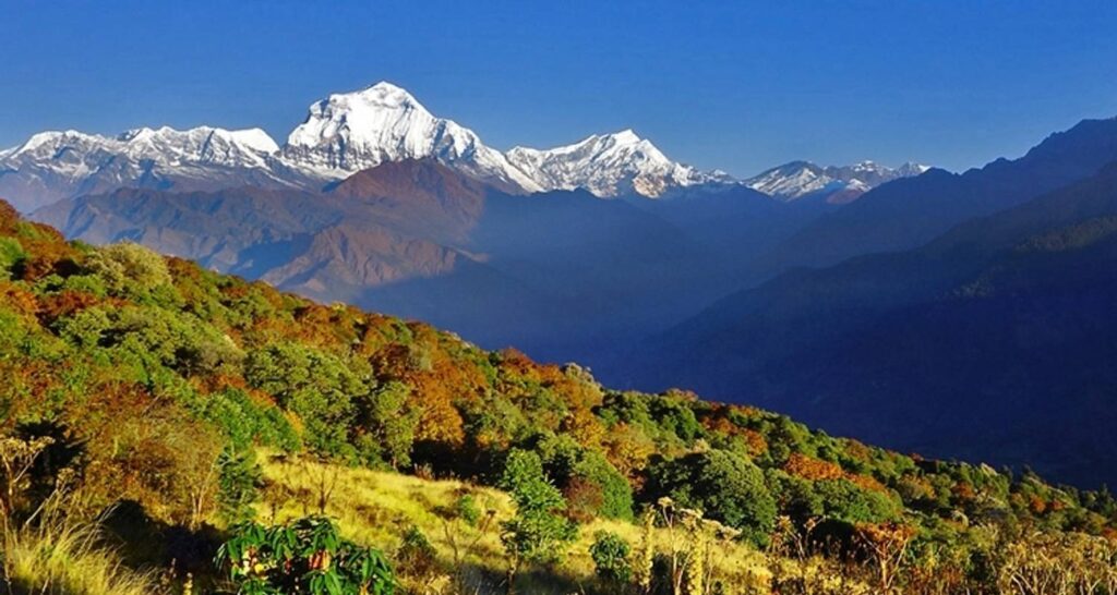 Ghorepani Poonhill Trek 