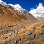 Trekking In Nepal 2026 Travel Guide