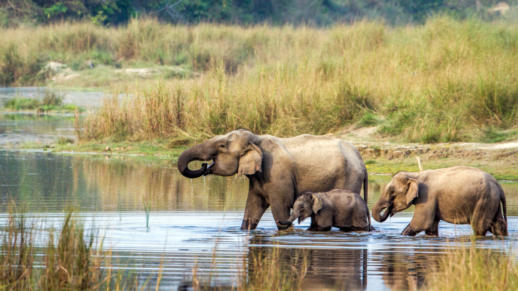 Nepal Golden Triangle Tour